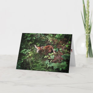 Carte de vœux de rétablissement "Whitetail Woods D