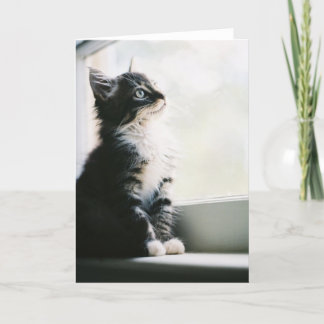 Carte de voeux de rêve