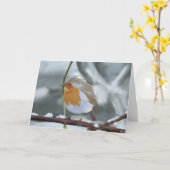 Carte de voeux de Robin (Fleur jaune)