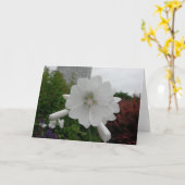 Carte de voeux de rose trémière (Fleur jaune)