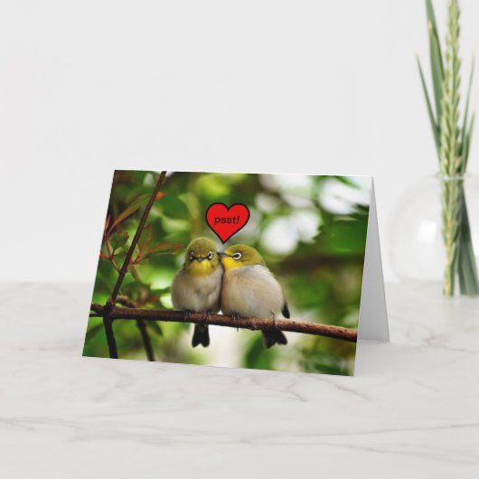 Carte de voeux de Saint-Valentin - oiseaux dans un (Devant)