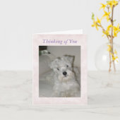 Carte de voeux de Schnauzer (Fleur jaune)