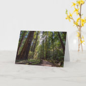 Carte de voeux de séquoias de Californie (Fleur jaune)