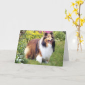 Carte de voeux de Sheltie (Fleur jaune)