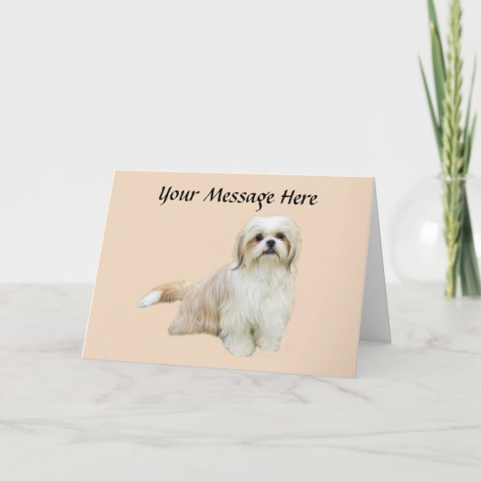 Carte de voeux de Shih Tzu (Devant)