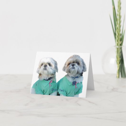 Carte de voeux de Shih Tzu - de Shih deux (Devant)