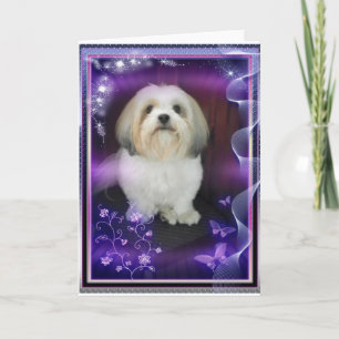 Carte de voeux de ShihTzu