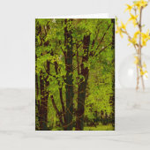 Carte de voeux de splendeur de ressort (Fleur jaune)