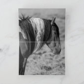 Carte de voeux de Stallion peint avec fierté (Intérieur)