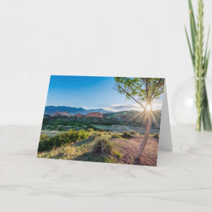 Carte de voeux de Sunburst Garden of Gods Tree