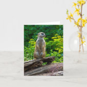 Carte de vœux de suricate (Fleur jaune)