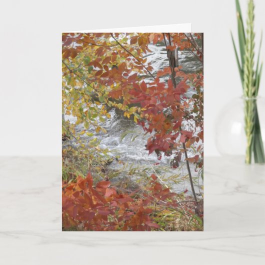 Carte de voeux de thanksgiving (Devant)