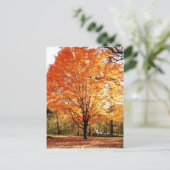 Carte de vœux de Thanksgiving aux feuilles d'érabl (Debout devant)