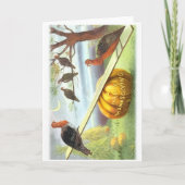 Carte de vœux de Thanksgiving joyeux (Devant)