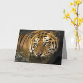 carte de voeux de tigre (Fleur jaune)