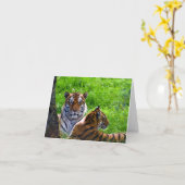 Carte de vœux de tigres de l'Amour (Fleur jaune)