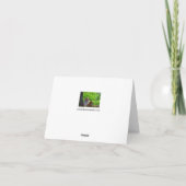 Carte de vœux de tigres de l'Amour (Dos)