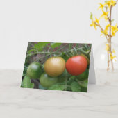 Carte de voeux de tomates de feu de signalisation (Fleur jaune)