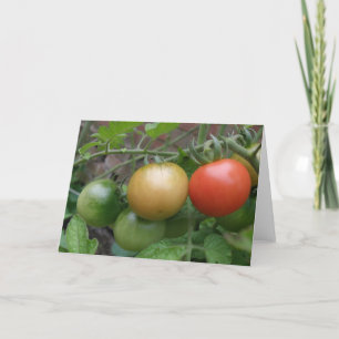 Carte de voeux de tomates de feu de signalisation