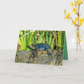 Carte de voeux de tortue au soleil (Fleur jaune)