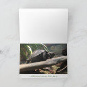 carte de voeux de tortue de bébé (encouragement) (Intérieur)