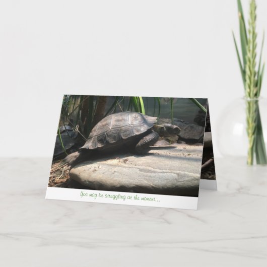 carte de voeux de tortue de bébé (encouragement) (Devant)