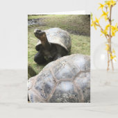 carte de voeux de tortue de Galapagos #2 (blanc à (Fleur jaune)