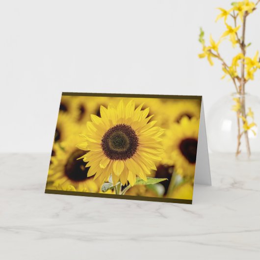 Carte de voeux de tournesol (Fleur jaune)