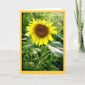 Carte de voeux de tournesol