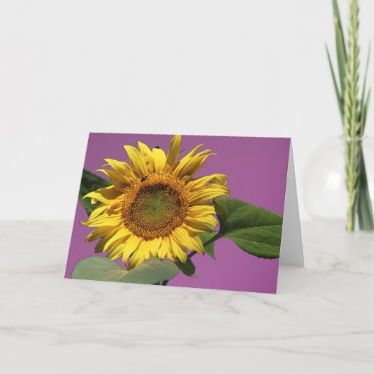 Carte de voeux de tournesol (Devant)