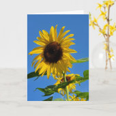 Carte de voeux de tournesol (Fleur jaune)