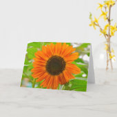 Carte de voeux de tournesol (Fleur jaune)