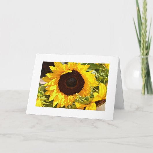 Carte de voeux de tournesol (Devant)