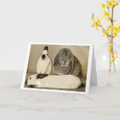 Carte de voeux de trois lapins (Fleur jaune)