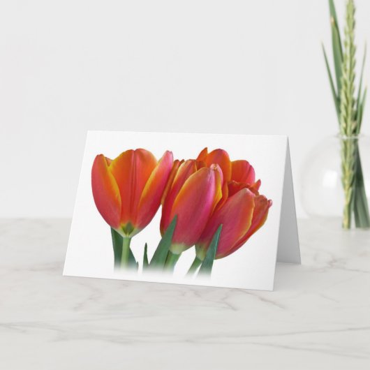 Carte de voeux de tulipes (Devant)