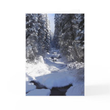 Carte de voeux de vacances