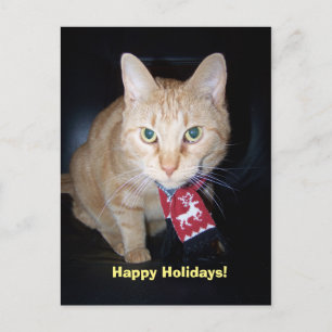 Carte de vœux de vacances avec chat orange portant