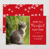 Carte de vœux de vacances avec thème de chat parfa (Devant / Derrière)