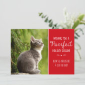 Carte de vœux de vacances avec thème de chat parfa (Debout devant)