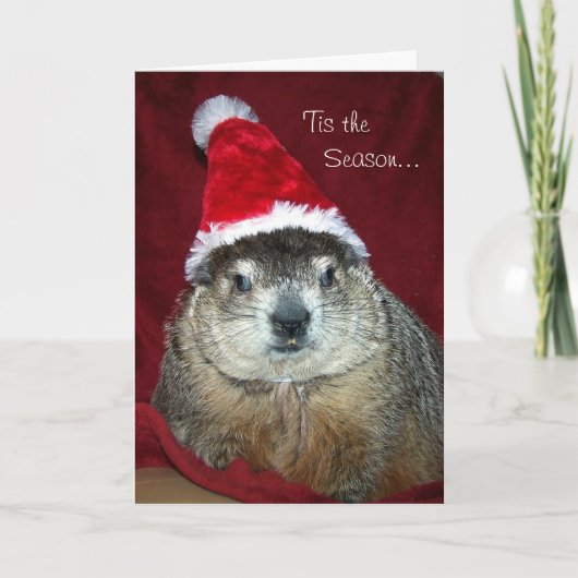 Carte de voeux de vacances de Groundhog Clara (Devant)