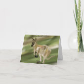 Carte de vœux de vacances Wallaby joyeuse (Dos)