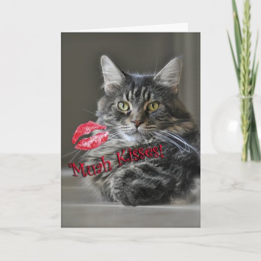 Carte de voeux de Valentine de chat de ragondin du (Devant)