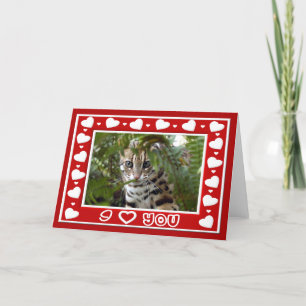 Carte de voeux de Valentine de chat du Bengale et