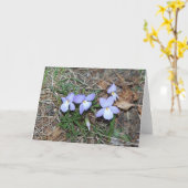 Carte de voeux de violettes de printemps (Fleur jaune)