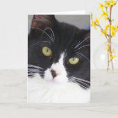 Carte de voeux de visage de chat de smoking (Fleur jaune)