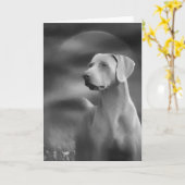 Carte de voeux de Weimaraner (Fleur jaune)