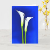 Carte de voeux de zantedeschia (Fleur jaune)