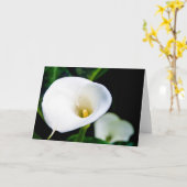Carte de voeux de zantedeschia (Fleur jaune)