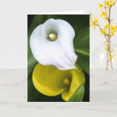 Carte de voeux de zantedeschia (Fleur jaune)