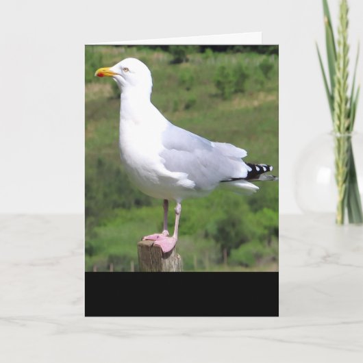Carte de vœux debout mouette – Mouette faune (Devant)
